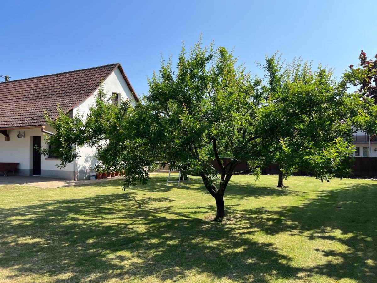 Bonne Idee - Suite Georgette - Meuble De Tourisme 3 Etoiles Châtenois Exterior foto